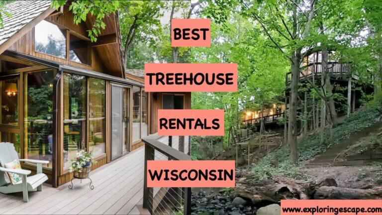 The Best 5 Treehouse Rentals in Wisconsin [Updated 2024]