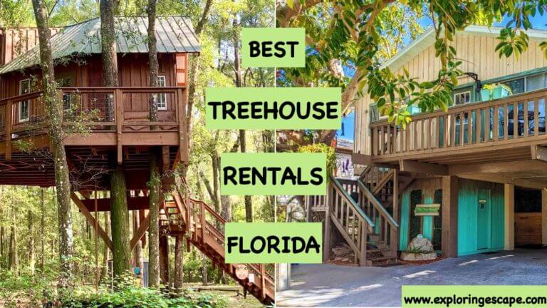 The 7 Best Treehouse Rentals in Florida [EPIC Getaways 2024]