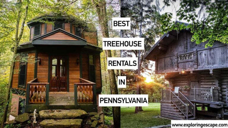The 7 Best Treehouse Rentals in Pennsylvania [EPIC Getaway]