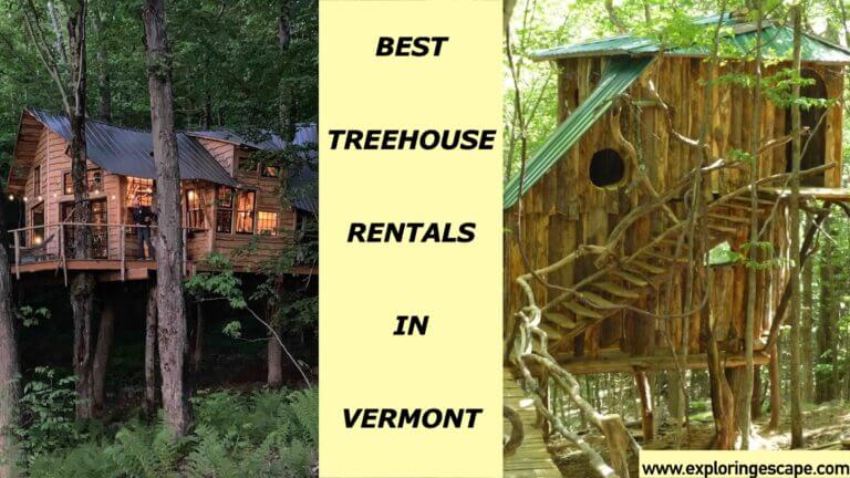 The 5 Best Treehouse Rentals in Vermont [REVEALED]