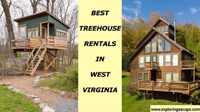 The Top 5 Best Treehouse Rentals in West Virginia [VETTED]