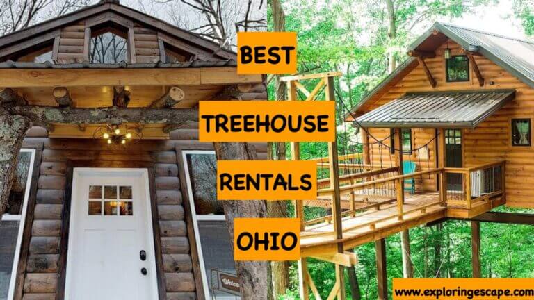 The Top 6 Treehouse Rentals in Ohio [EPIC Getaways 2024]
