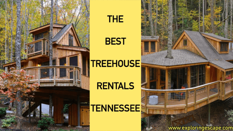 The 10 Best Treehouse Rentals in Tennessee [EPIC Getaways]