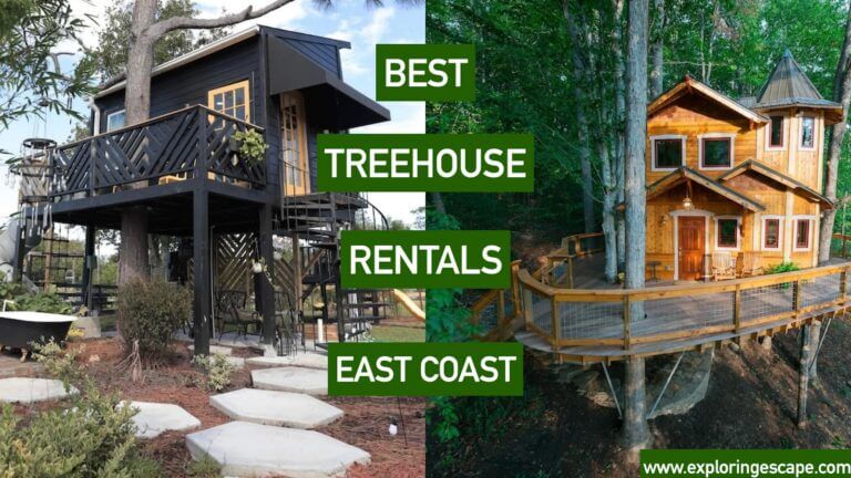 The 5 Best East Coast Treehouse Rentals [TESTED 2024]