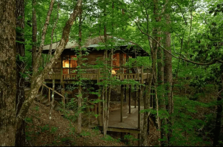 The 7 Best Treehouse Rentals Mississippi [2024 VETTED]