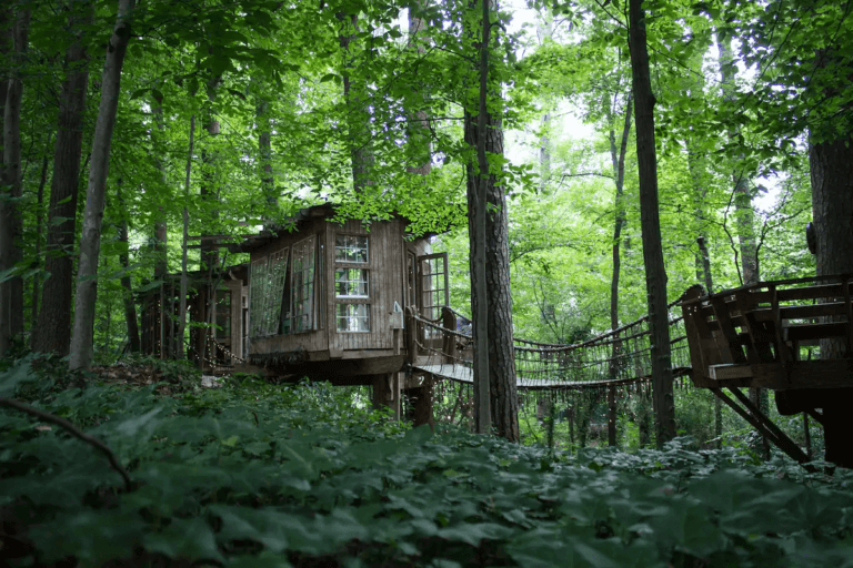 The Top 8 Best Treehouse Rentals in Atlanta