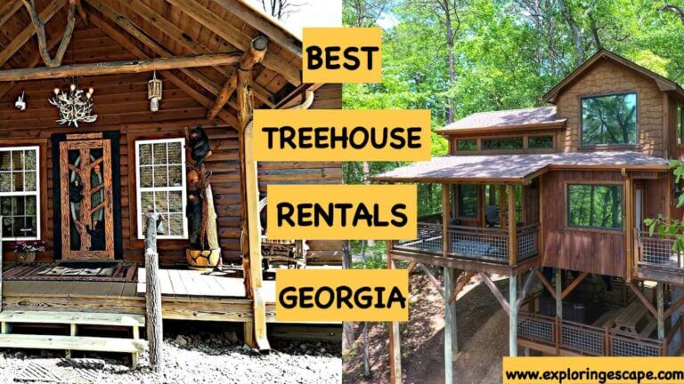 The 7 Best Treehouse Rentals in Georgia