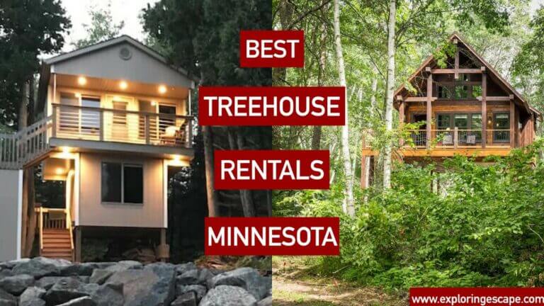 The Top 5 Best Treehouse Rentals in Minnesota [VETTED]
