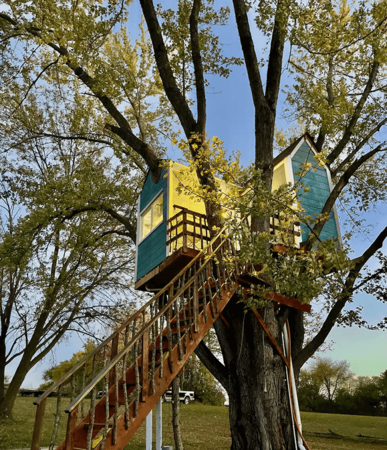 The 7 Best Treehouse Rentals in Iowa [Updated 2024]