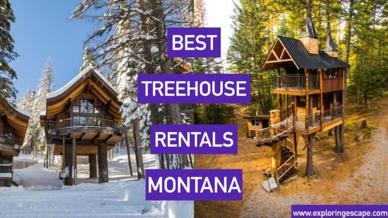 The Best Treehouse Rentals Montana For Your Next Getaway