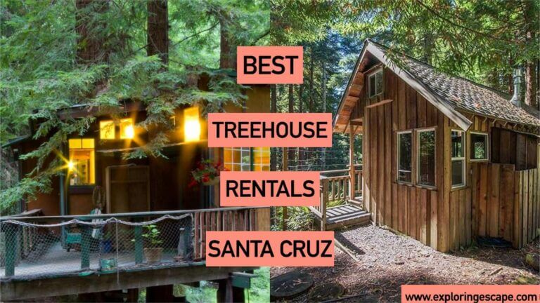 The 5 Best Treehouse Rentals in Santa Cruz [VETTED 2024]