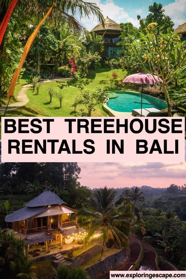 The Best Treehouse Rentals in Bali