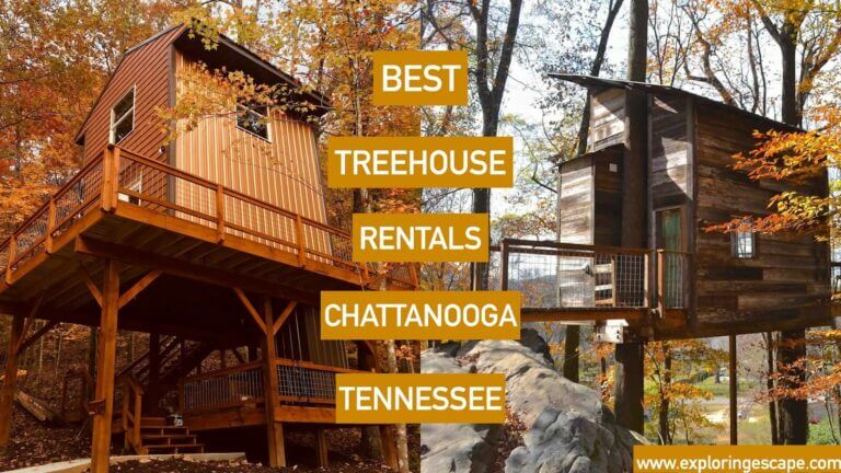The Best Treehouse Rentals in Chattanooga Tennessee [2024]