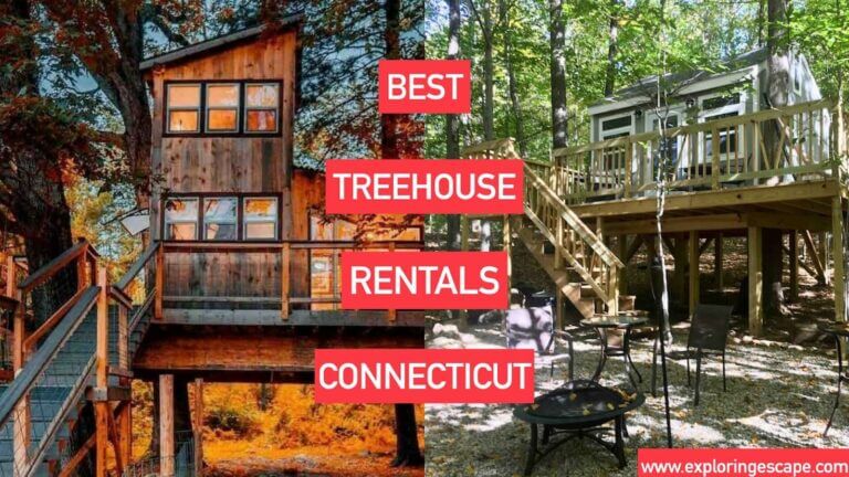 The 4 Best Treehouse Rentals in Connecticut [TESTED]