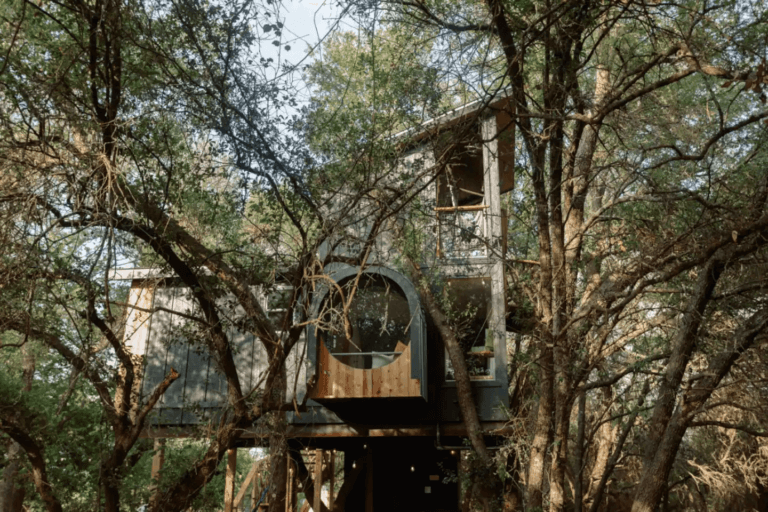 The Best Treehouse Rentals in Fredericksburg TX [2024]