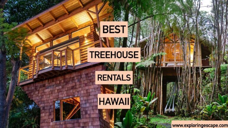 The 5 Best Treehouse Rentals in Hawaii