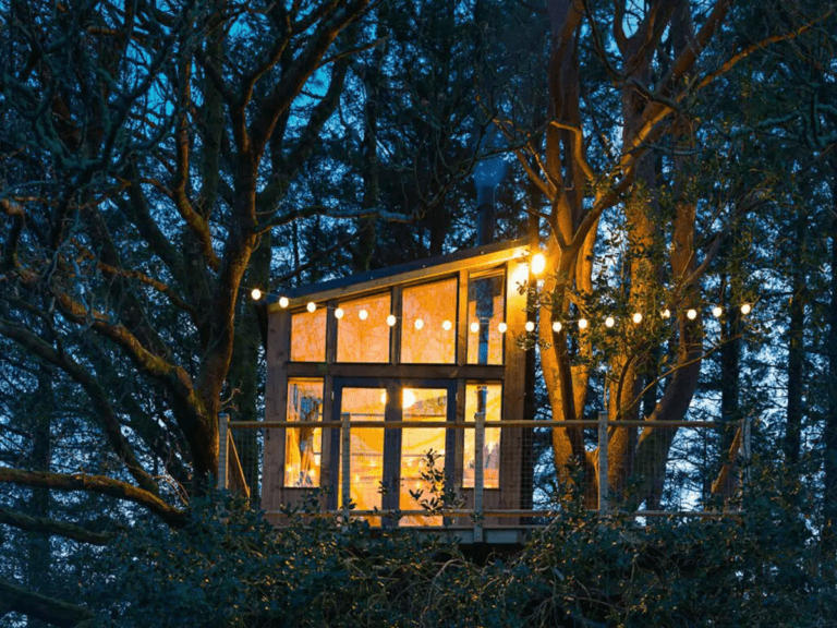 The 5 Best Treehouse Rentals in Ireland [Updated 2024]