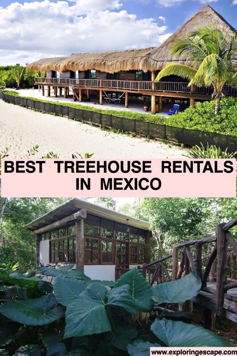 The Best 5 Treehouse Rentals in Mexico