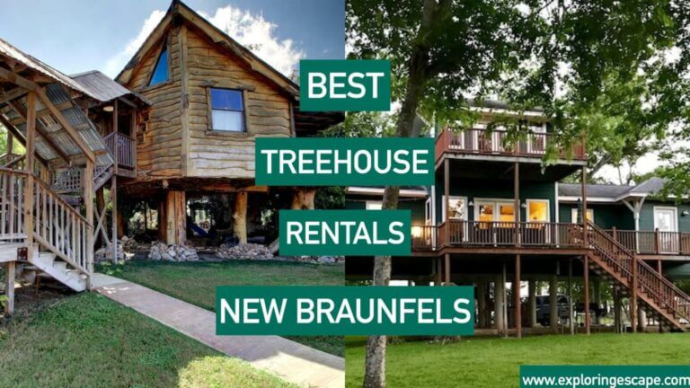 The Best Treehouse Rentals in New Braunfels Texas