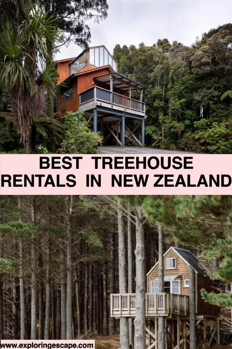 The 5 Best Treehouse Rentals in New Zealand