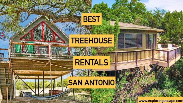 The 4 Best Treehouse Rentals in San Antonio Texas [2024]