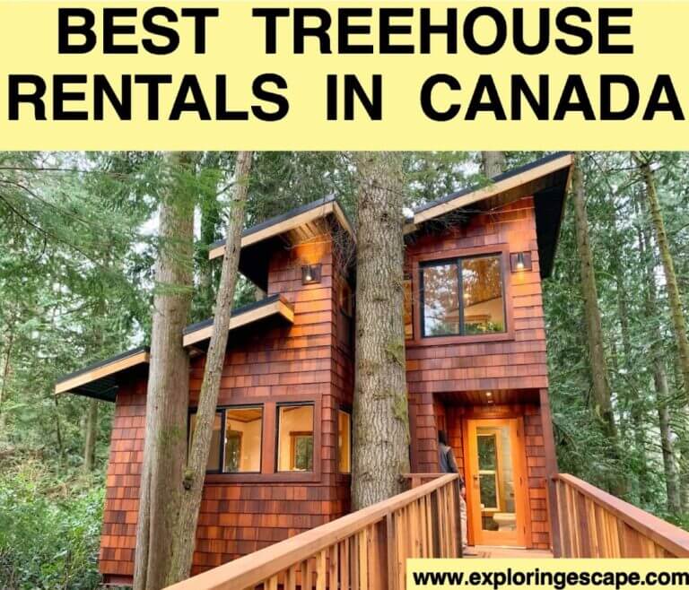 The 5 Best Treehouses Rentals in Canada for an Epic Nature Getaway
