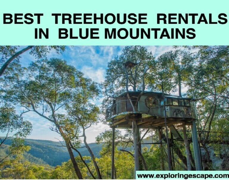 The Top Treehouse Accommodation in the Blue Mountains