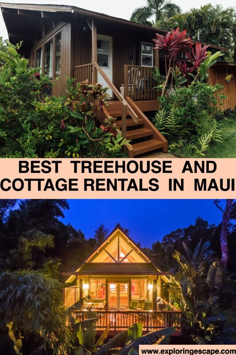 The Top Treehouse Rentals on Maui for an Epic Island Vacation