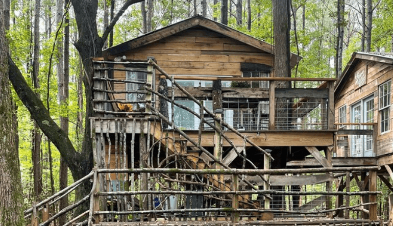Fern Hollow Treehouse - Best Rustic Escape and Cozy Romantic Getaway for Couples in Mississippi